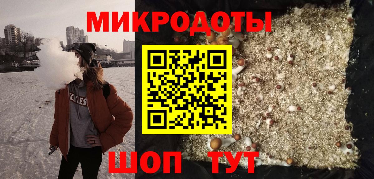 купить  сайты  Вход с VPN  Батайск  Галлюциногенные грибы Psilocybe 